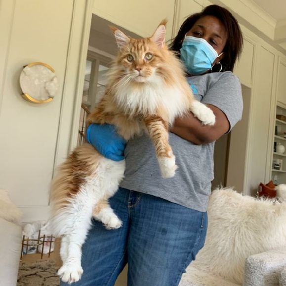 Naps are good! π¦ Foxy knows best π¦ - Picture 7 of 16